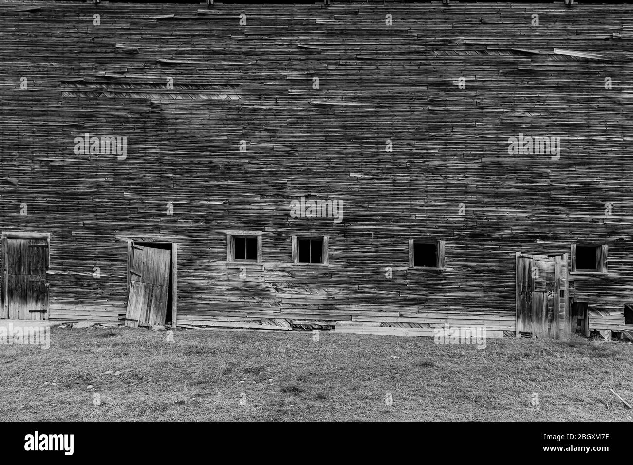 Schwarz-weiß verwitterte verwitterte Scheune, Nahaufnahme rustikale Wand. Stockfoto