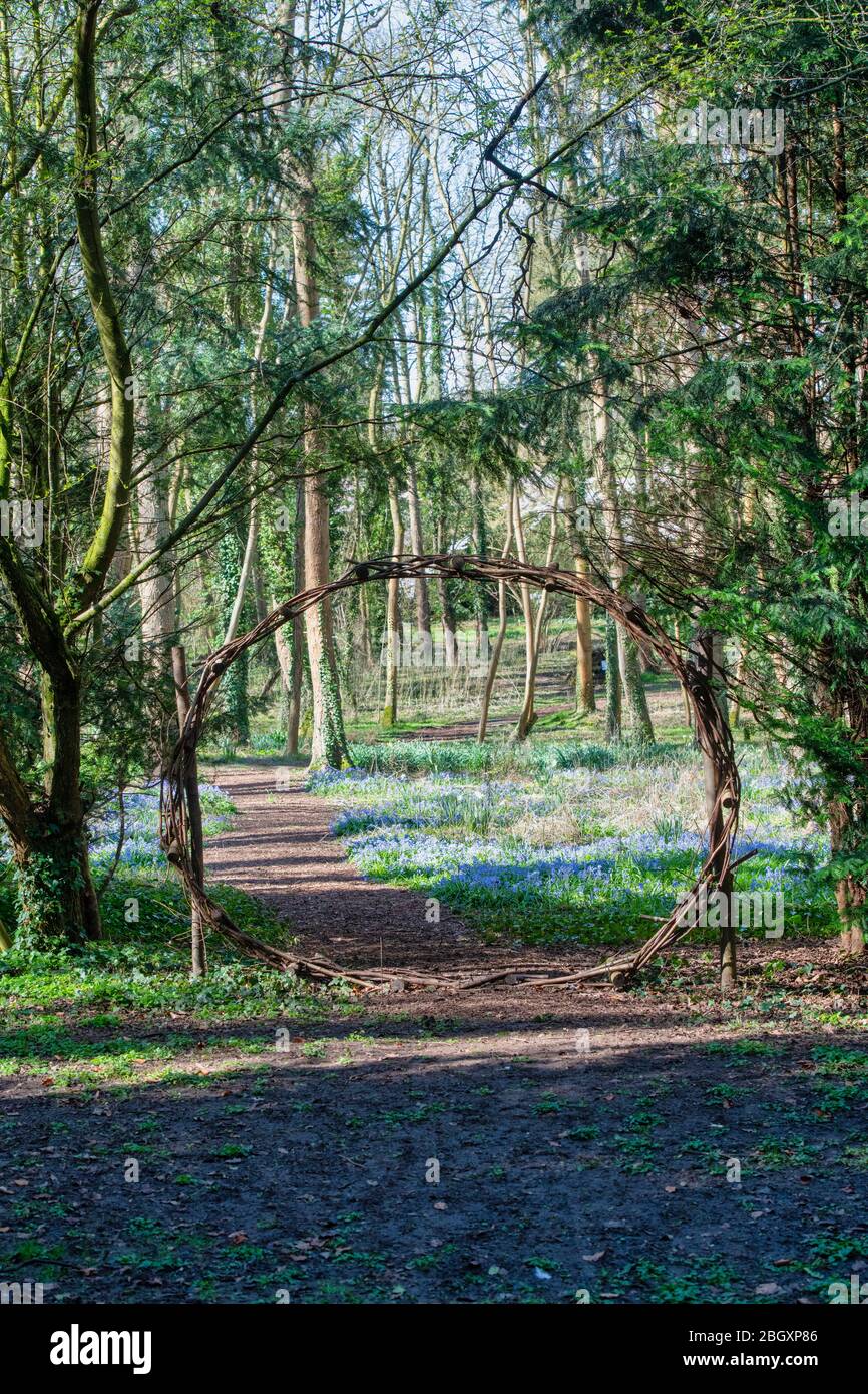 Evenley Wood Gardens im Frühling. Evenley, Northamptonshire, England Stockfoto