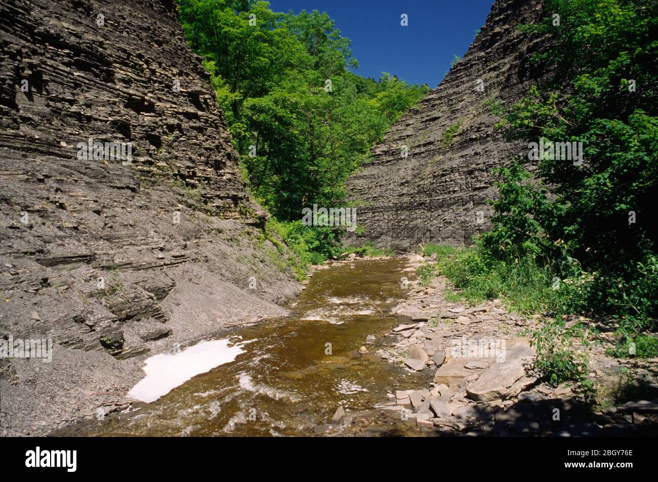Whetstone Creek, Whetstone Gulf State Park, New York Stockfoto