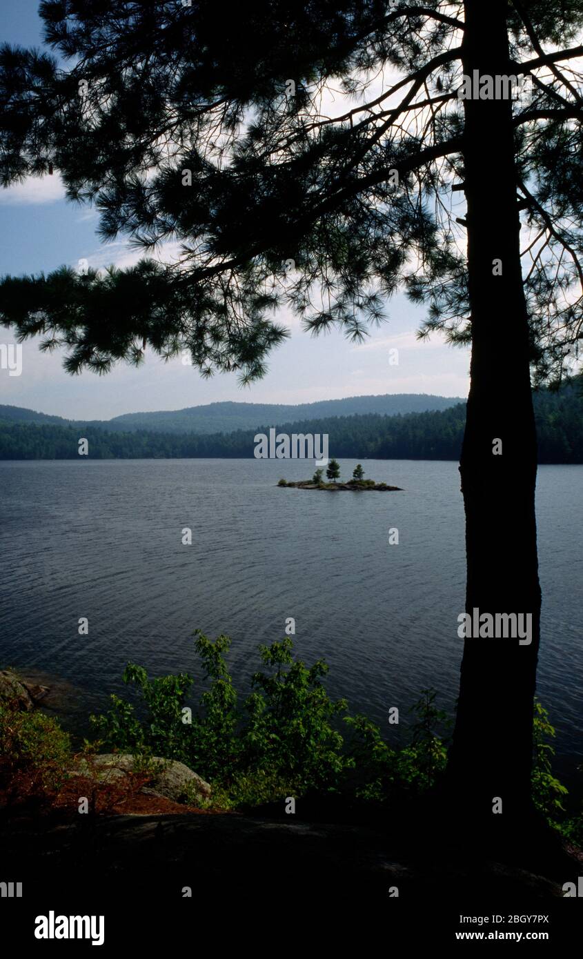 Pharoah Lake, Pharoah Lake Wilderness, Adirondack Park, New York Stockfoto