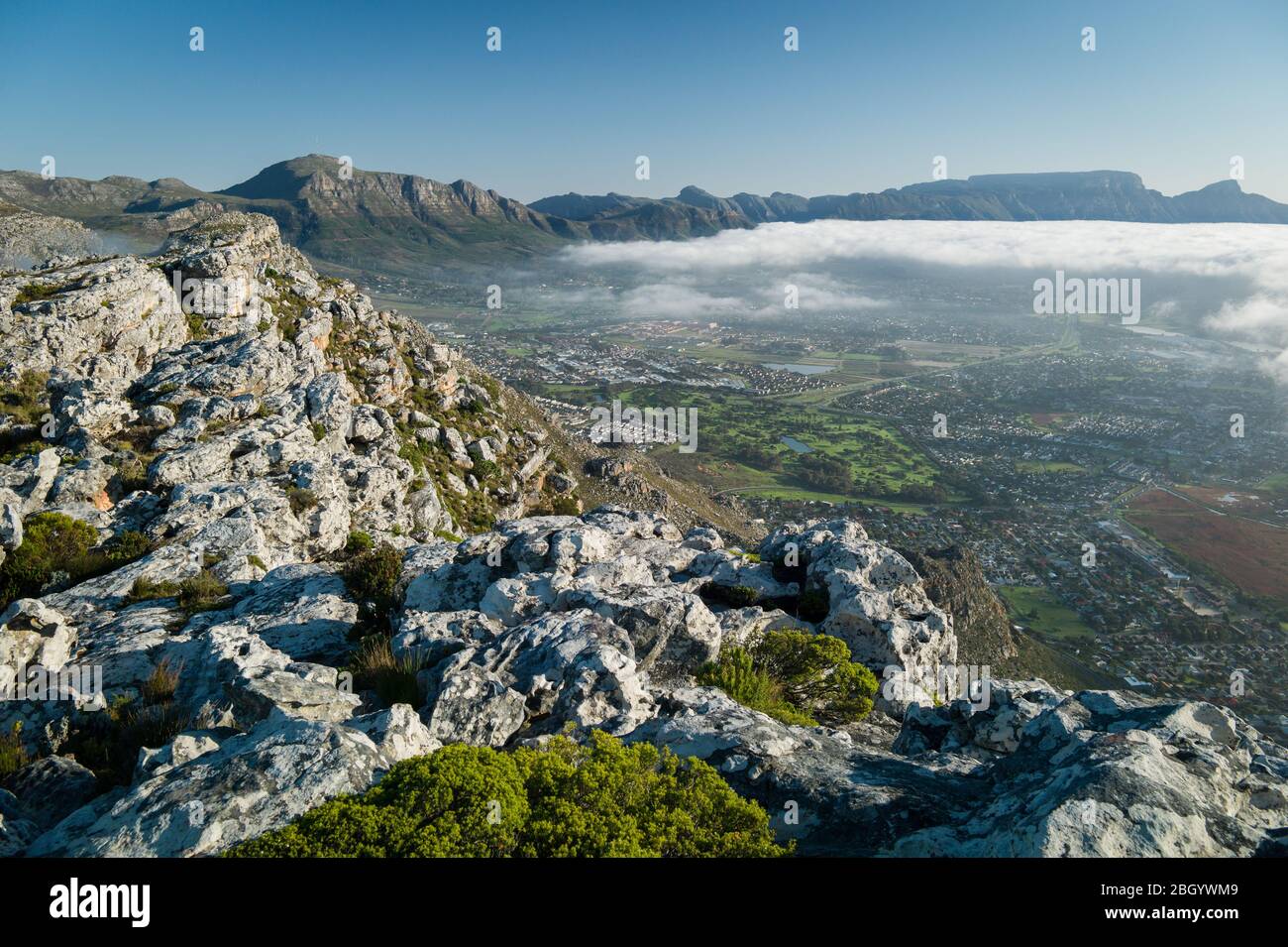 Kapstadt, Westkap, Südafrika ist ein Traum für Wanderer und Outdoor-Sportler mit Zugang zu Wanderwegen durch Fynbos im Table Mountain National Park. Stockfoto