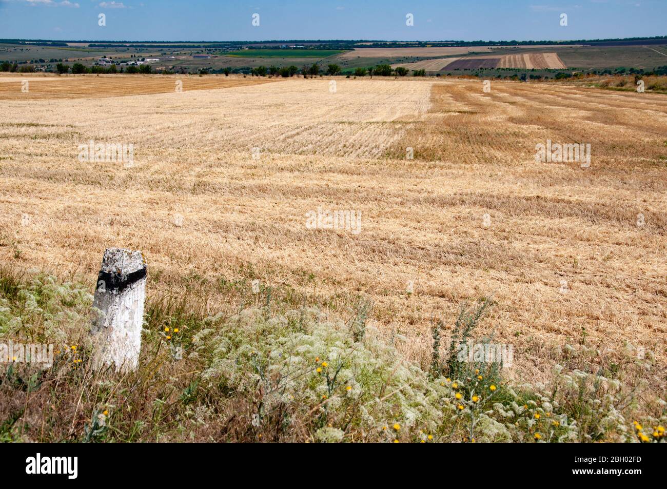 Ländliche Landschaft von reifen gelben Weizenfeld und alten Grunge Steinpfosten unter wilden Kräutern und Blumen im Vordergrund. Ruhige Ebene Aussicht in der Landschaft von Stockfoto