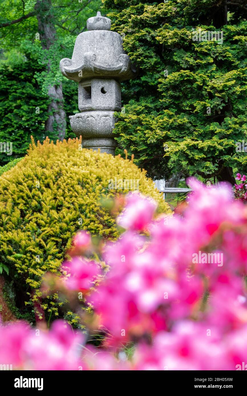 Nahaufnahme einer japanischen Votivlaterne aus Stein, umgeben von blühenden Blumen und üppiger Vegetation im Japanischen Teegarten in San Francisco Stockfoto