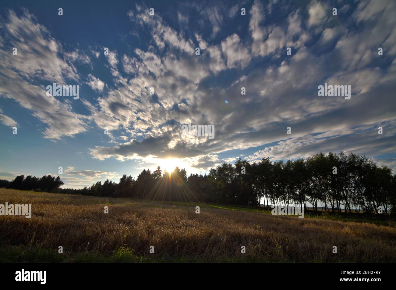 Typischer Hinterhof in österreich Stockfoto