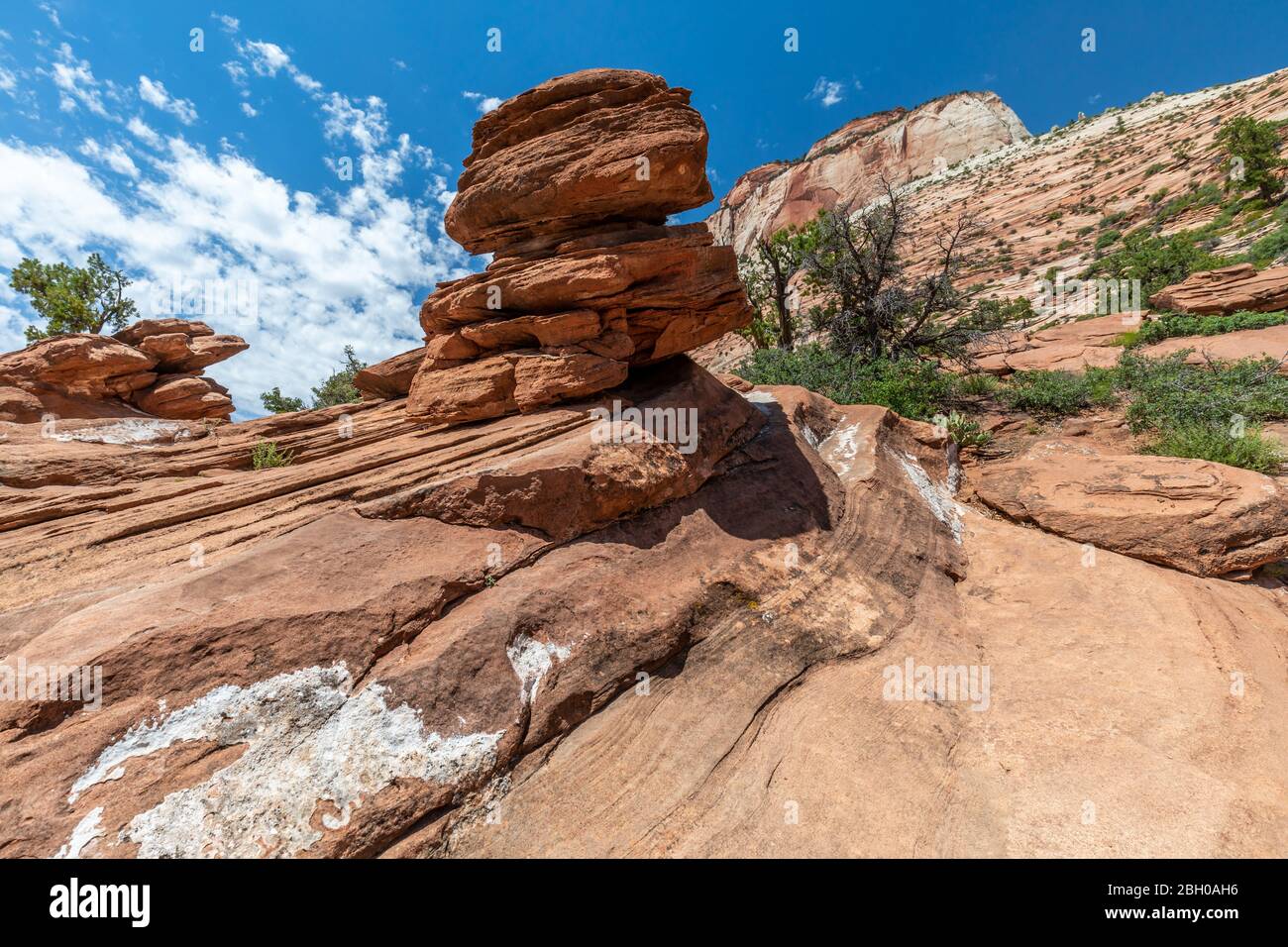 Weitwinkelansicht einer roten Sandsteinfelsenformation in Zion National Park Stockfoto