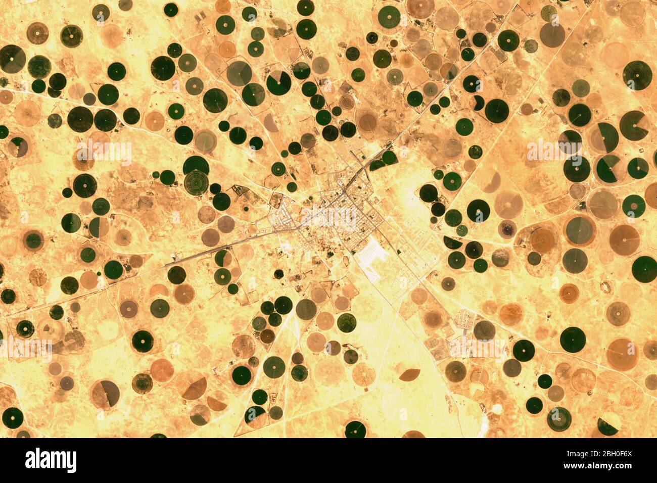 Hochauflösende Satellitenaufnahme von Bewässerungsanlagen in Qaryat al-Ulya, Saudi-Arabien - enthält modifizierte Copernicus-Sentinel-Daten (2020) Stockfoto