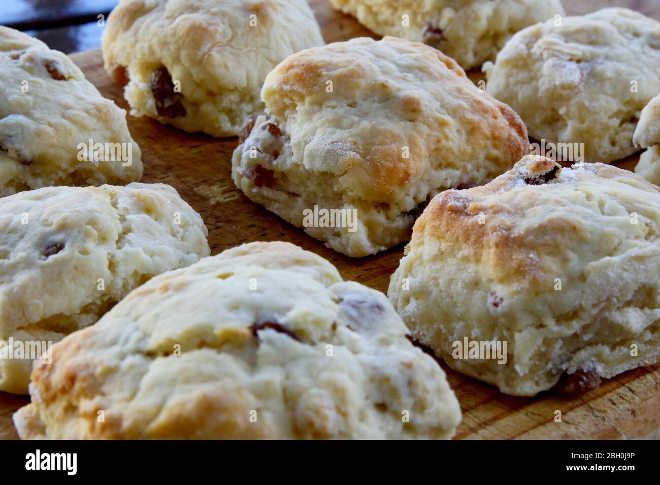 Hausgemachte Scones. Stockfoto