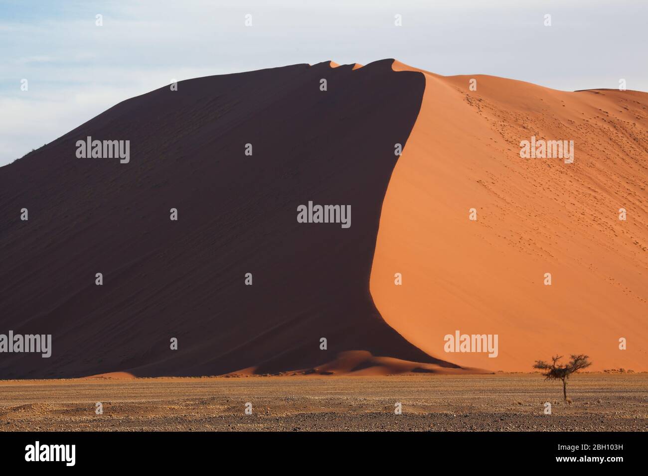 Hoch aufragende Sanddünen bei Sossusvlei im Namib Naukluft Park im Süden Namibias Stockfoto