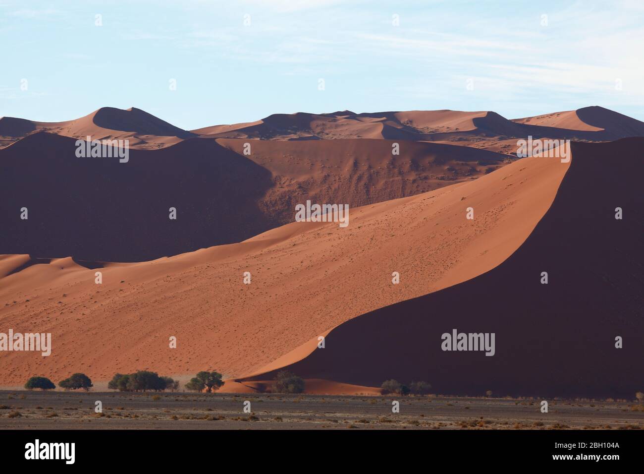 Hoch aufragende Sanddünen bei Sossusvlei im Namib Naukluft Park im Süden Namibias Stockfoto