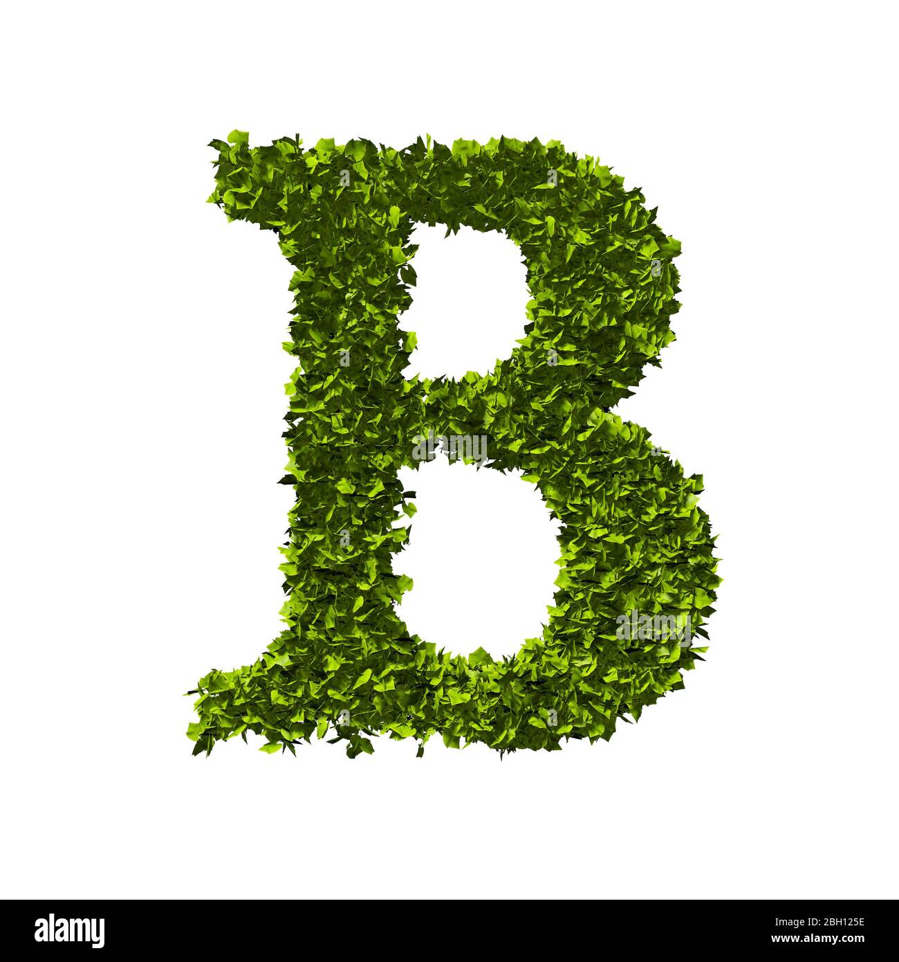 Buchstabe B Natur Blatt Alphabet. 3D-Rendering Stockfoto