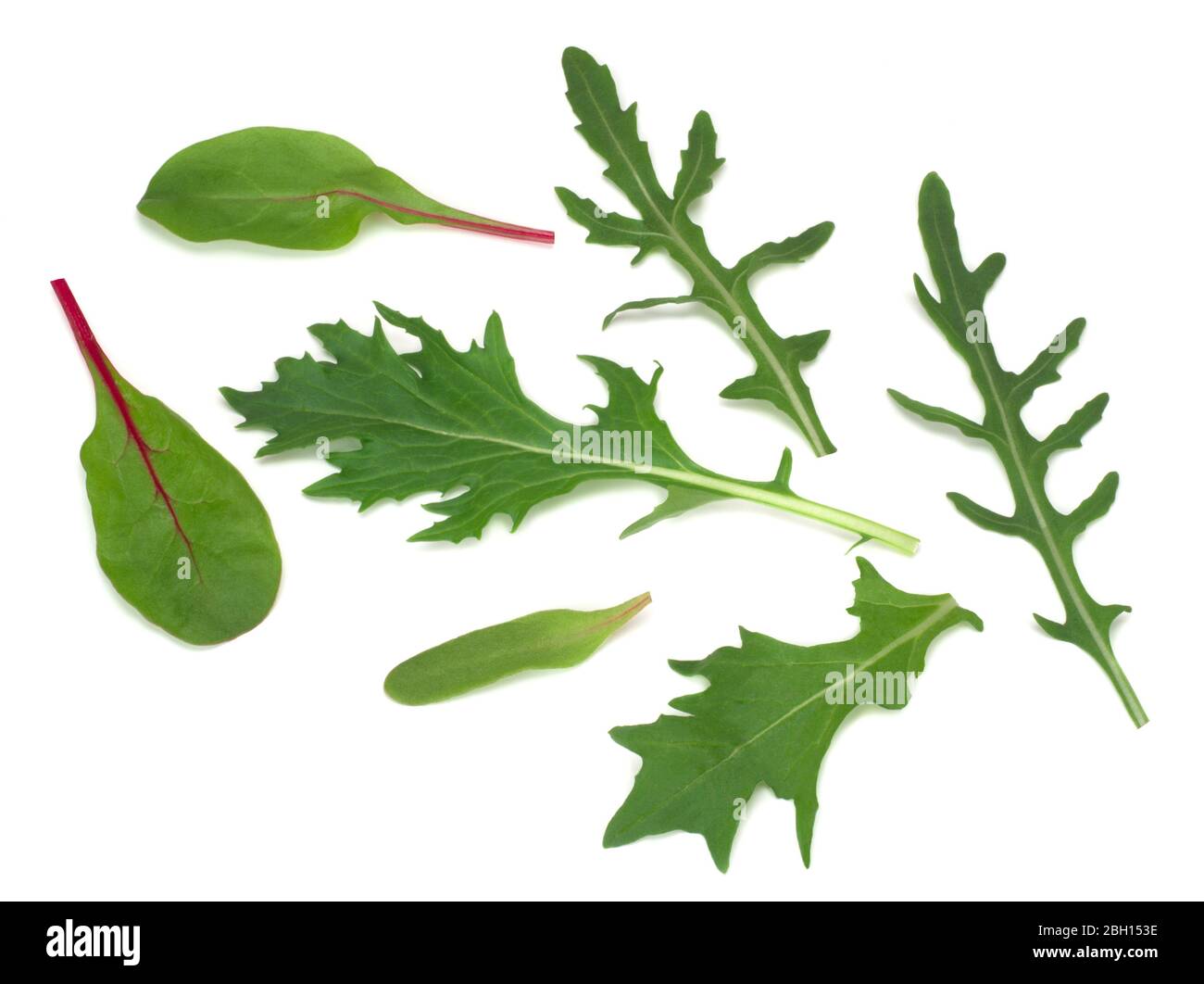 Mix aus frischem Salat, Draufsicht isoliert auf weißem Hintergrund Stockfoto