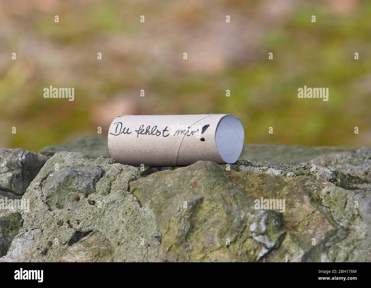 Empy Toilettenrolle mit Schriftzug Ich vermisse dich, Deutschland Stockfoto