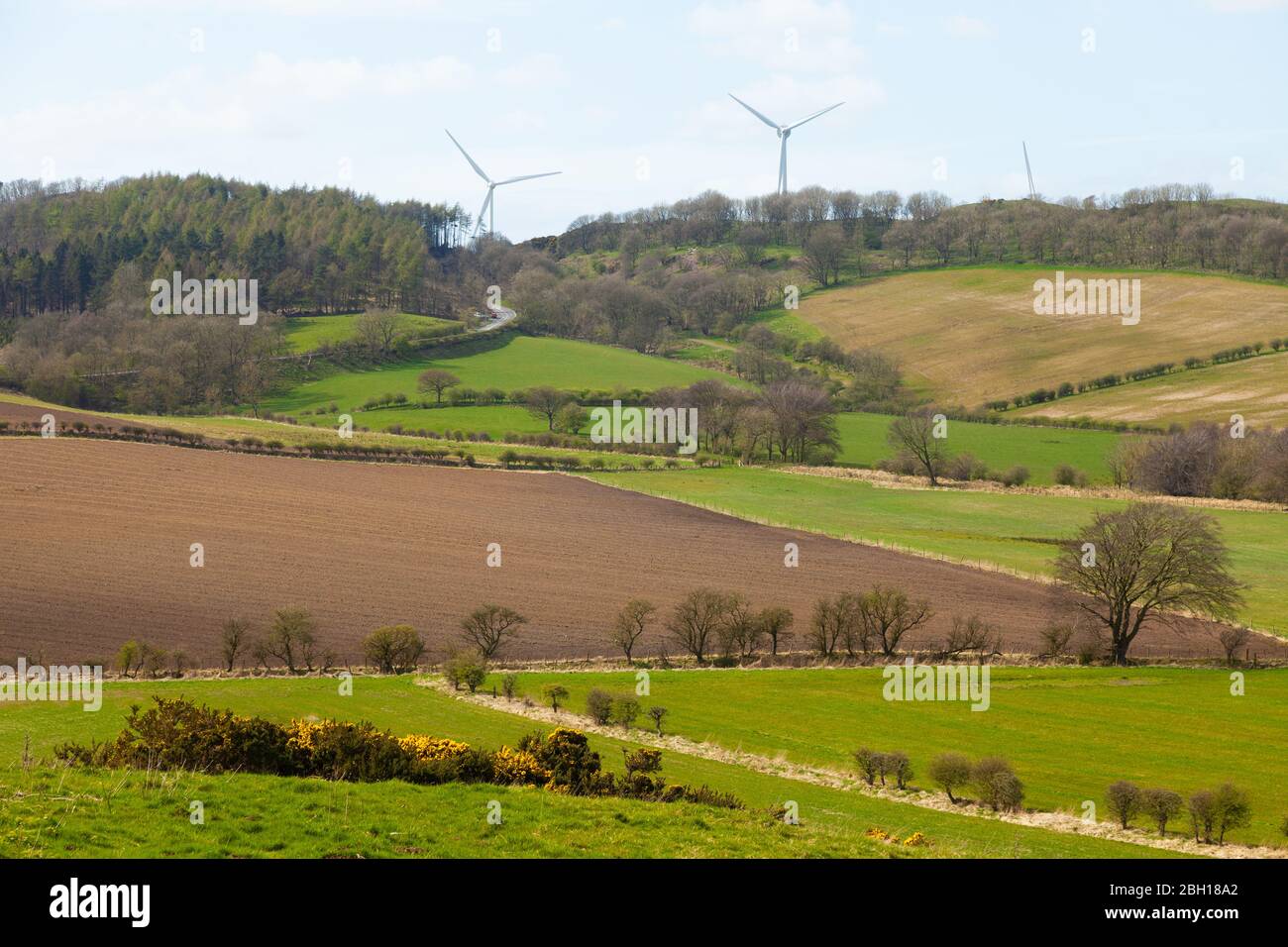 Blick in Richtung Cullaloe Hills über Fife Farmland Stockfoto