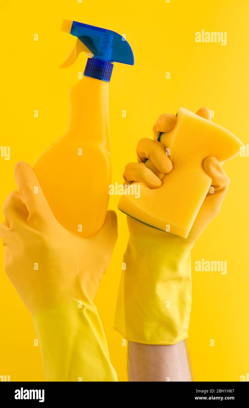 Hand mit einem gelben Gummihandschuh, der einen Reinigungsschwamm und eine Sprühflasche hält Stockfoto