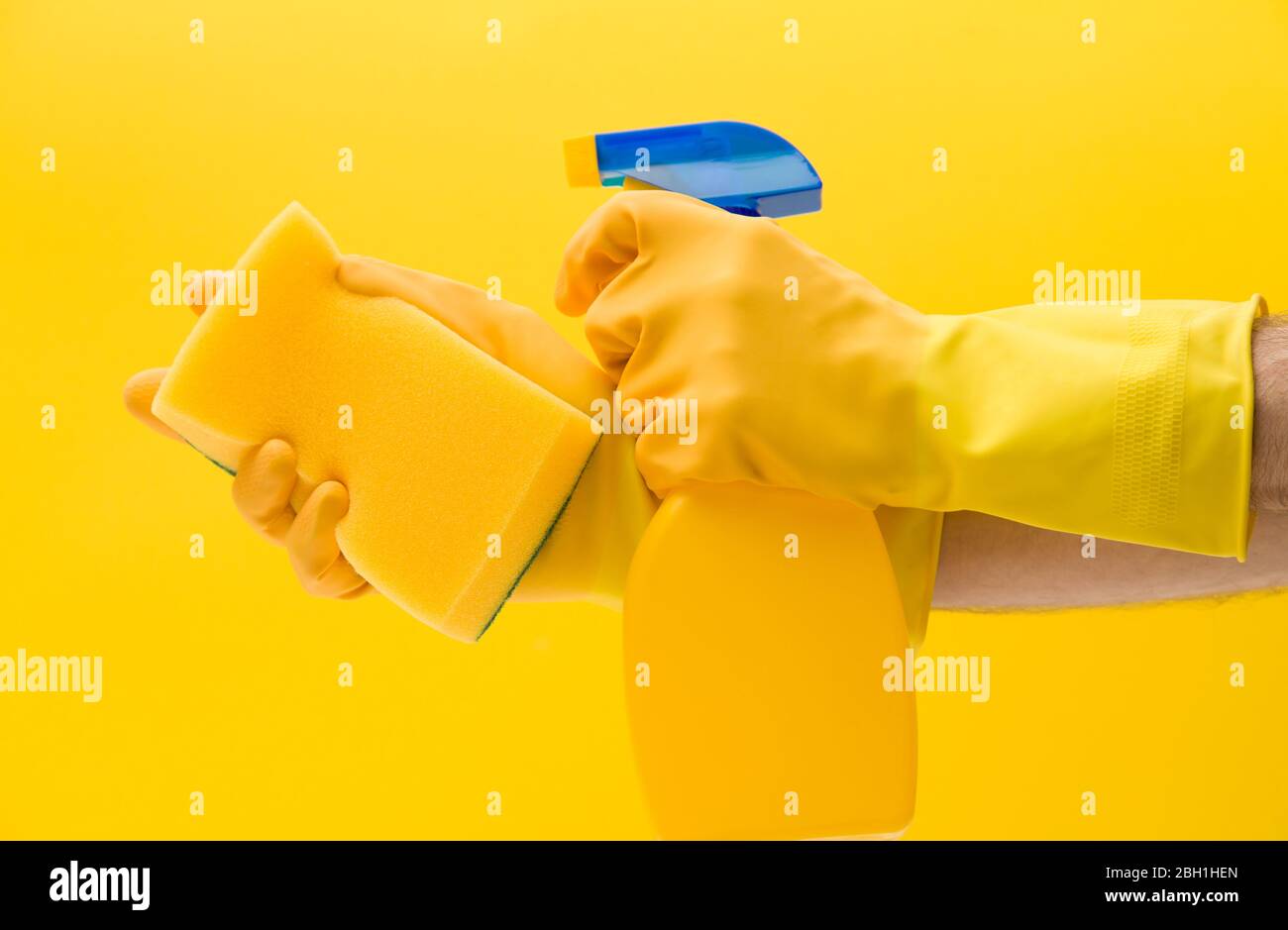 Hand mit einem gelben Gummihandschuh, der einen Reinigungsschwamm und eine Sprühflasche hält Stockfoto