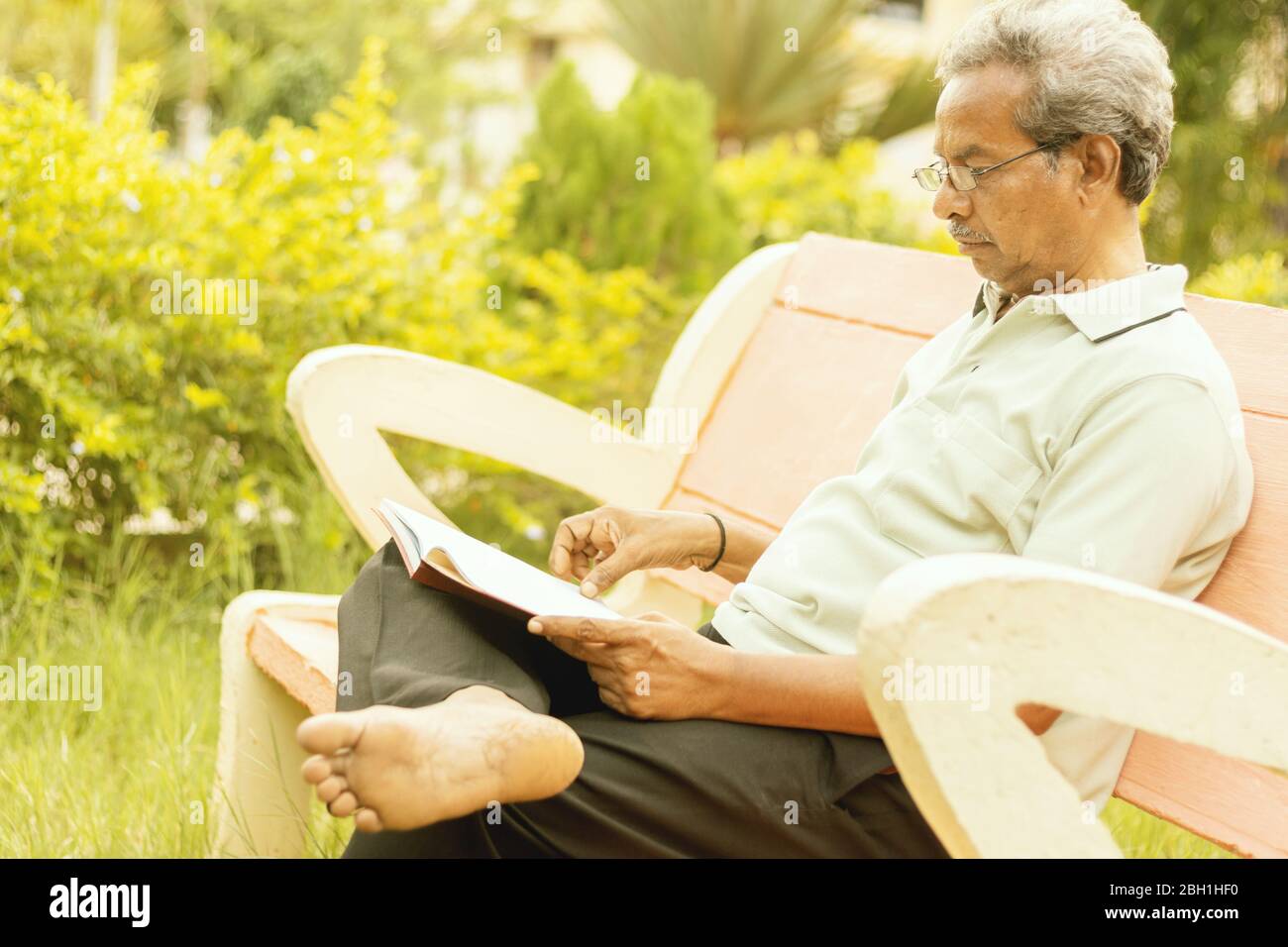 Gesund aussehender älterer Mann in den späten 70er Jahren, der im Garten zu Hause sitzt und Buch liest, draußen - alter Mann, der sich im Park entspannt, indem er ernsthaft Buch liest. Stockfoto