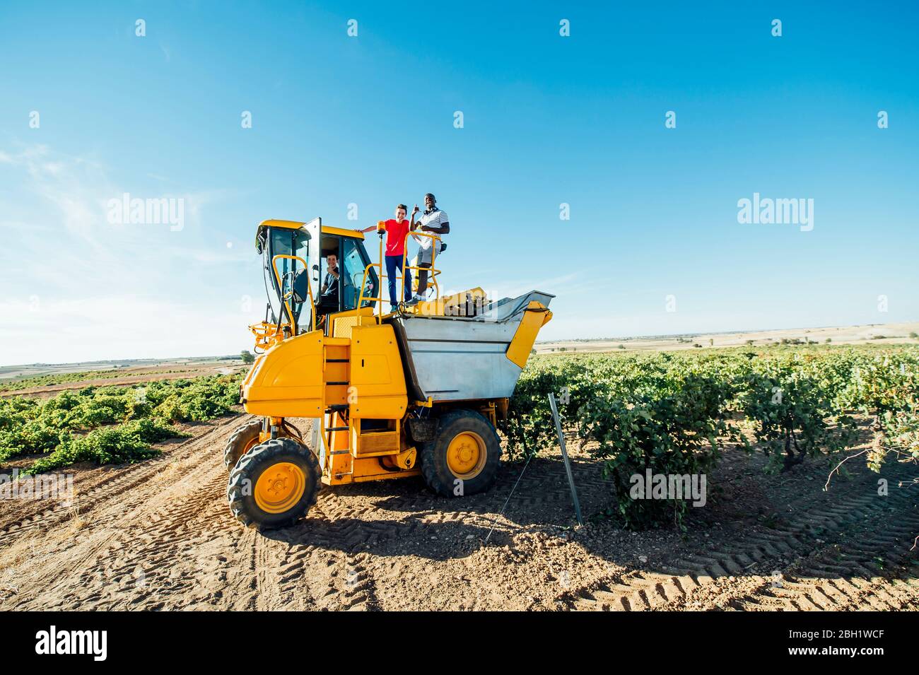 Weinlese Maschine und junge Winzer, Cuenca, Spanien Stockfoto Weinlese Maschine und junge Winzer, Cuenca, Spanien Stockfoto