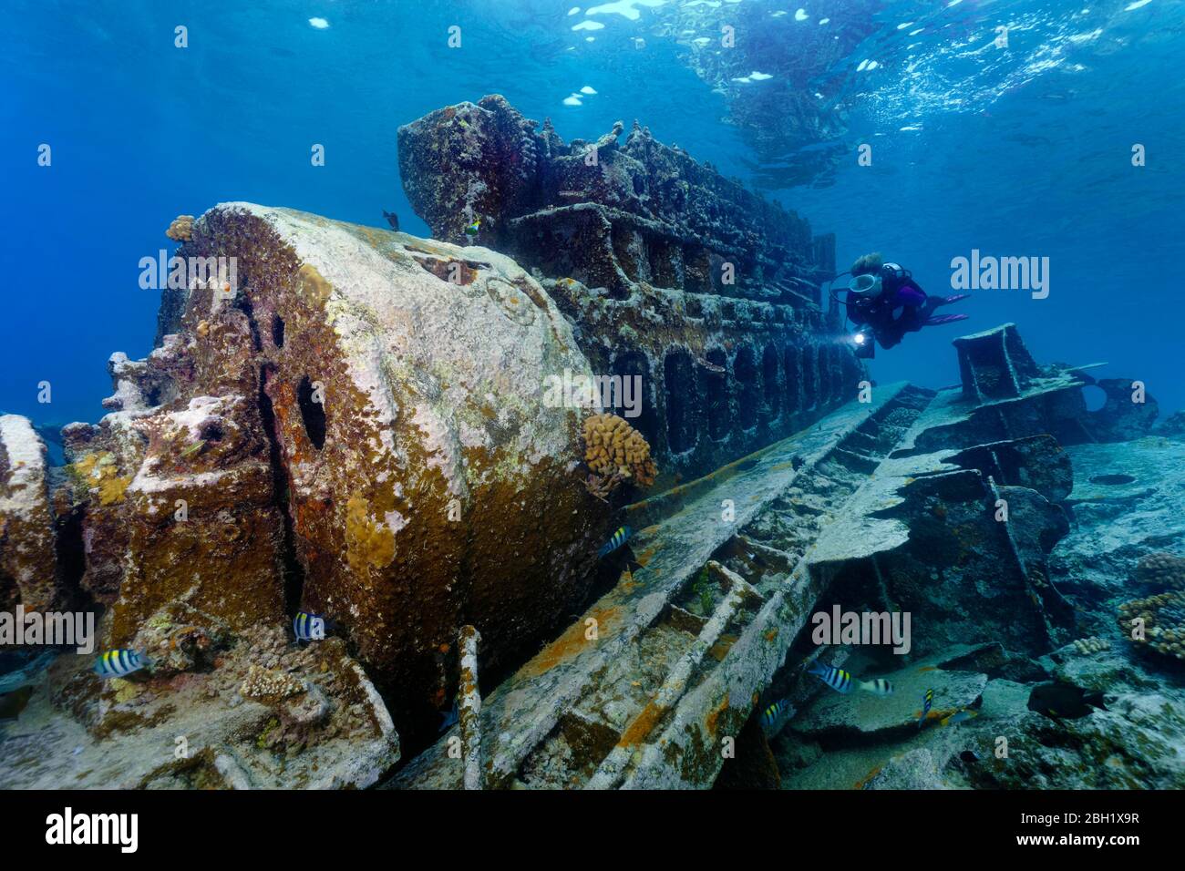 Tauchen Besichtigung von malaysischen Schiffswrack, Pazifik, Sulu Sea, Tubbataha Reef National Marine Park, Palawan Provinz, Philippinen Stockfoto