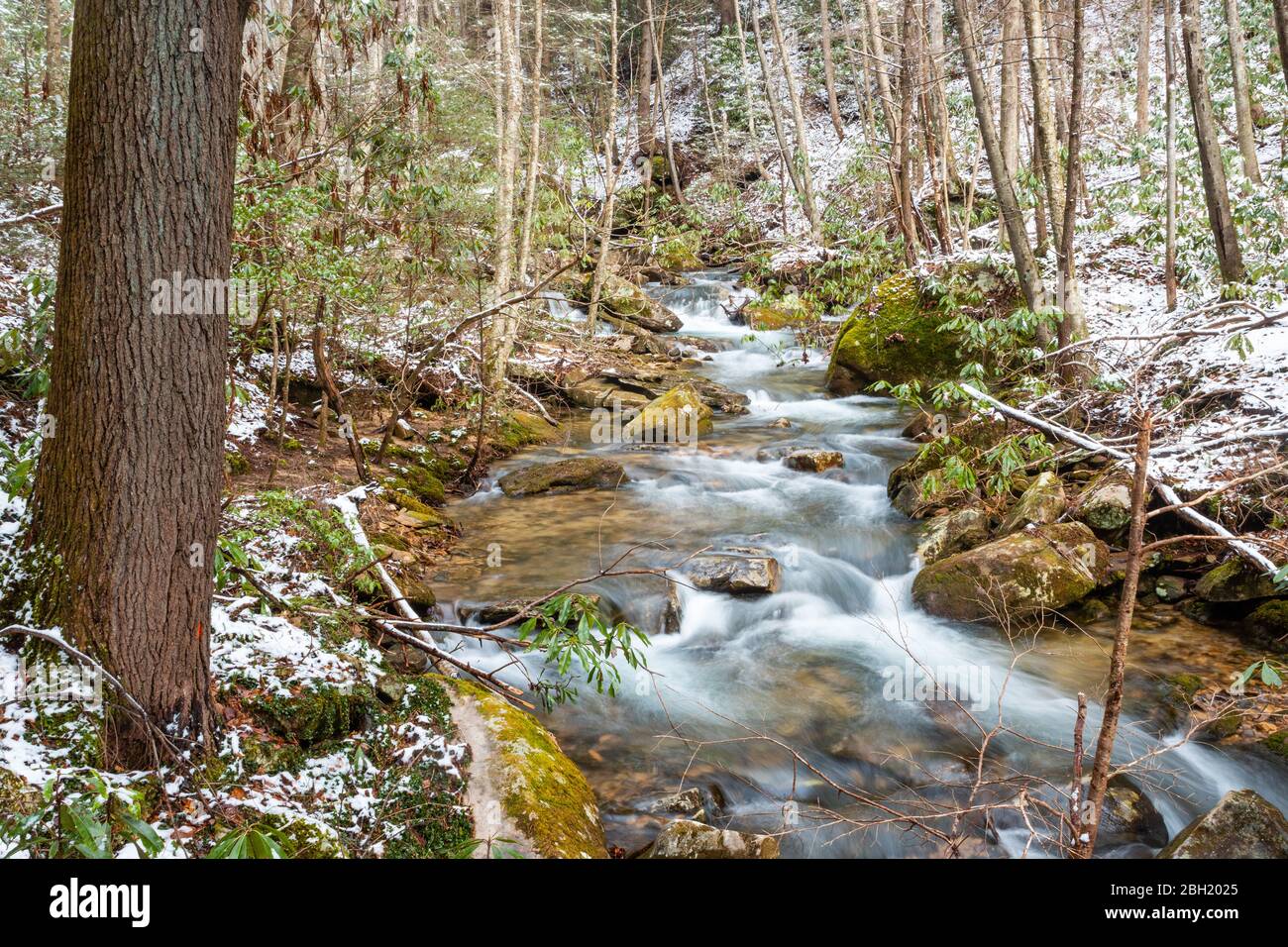 Bachwasser fließt in dieser Waldwinterszene aus Central Appalachia, USA Stockfoto