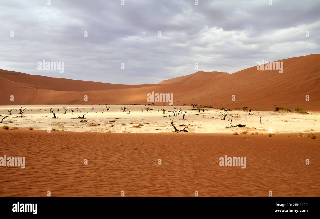 Namibia, Sossusvlei Pan umgeben von Wüstendünen Stockfoto