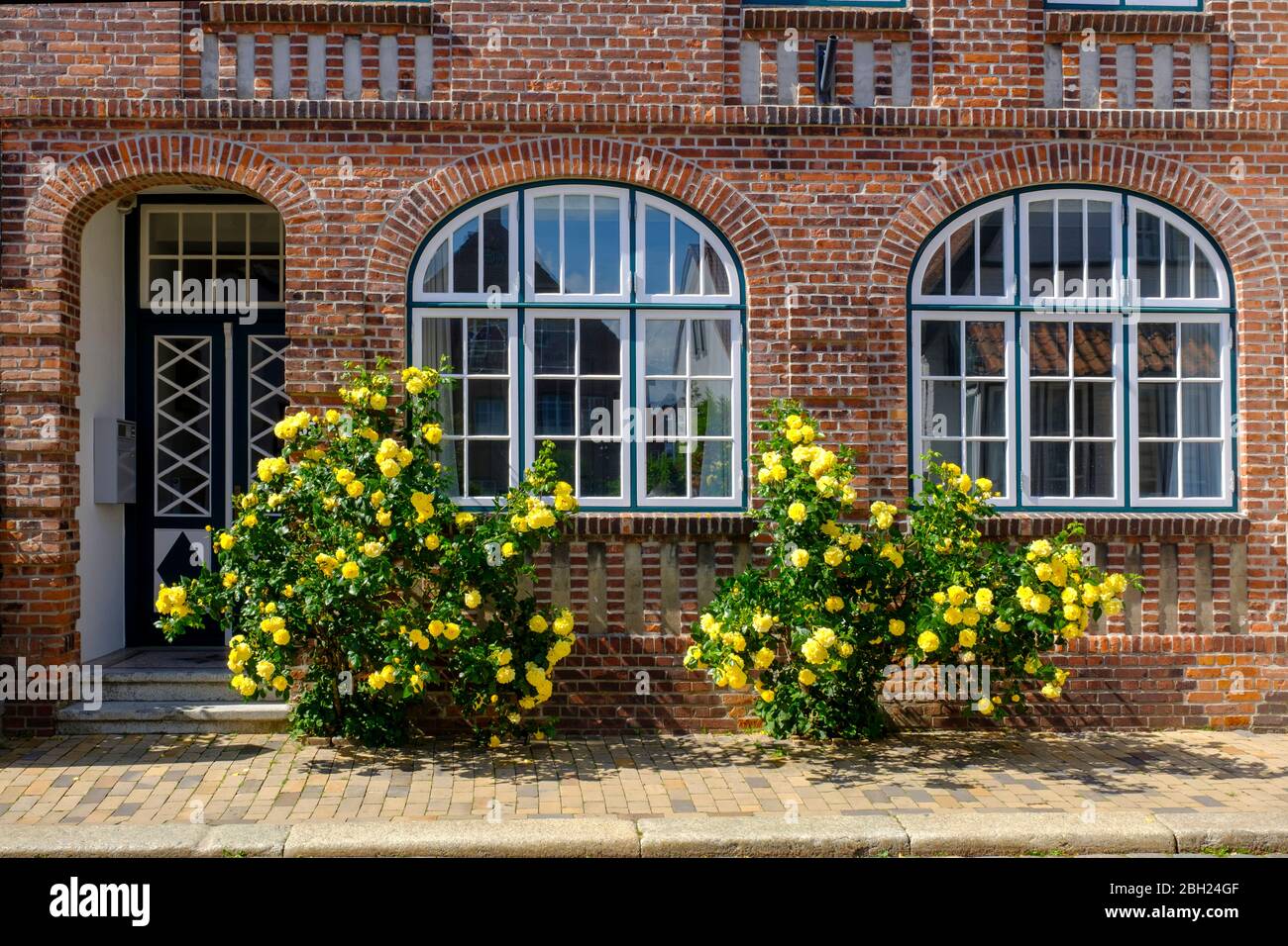 Deutschland, Schleswig-Holstein, Husum, Gelbe Rosen blühen vor dem Backsteinhaus Stockfoto