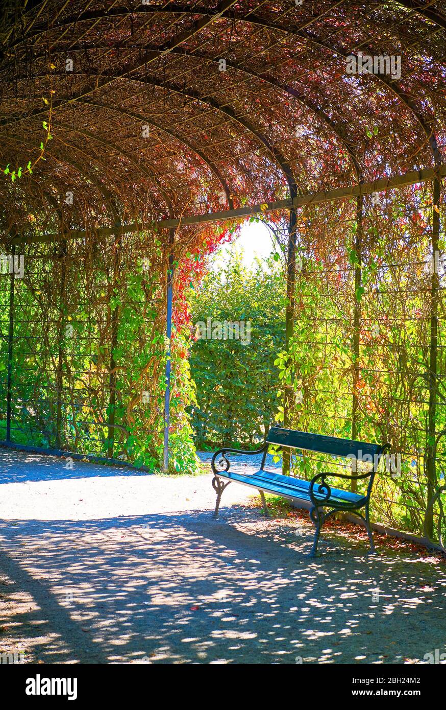 Besuch von Schloss Schönbrunn in Wien Stockfoto