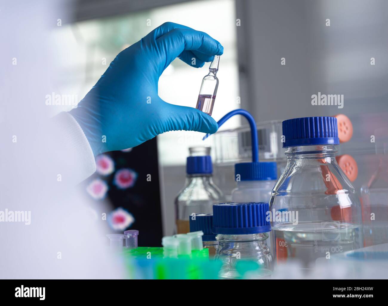 Pharmazeutische Forschung in Infektionskrankheiten und Pandemien, Wissenschaftler entwickeln ein Medikament für eine klinische Studie im Labor Stockfoto