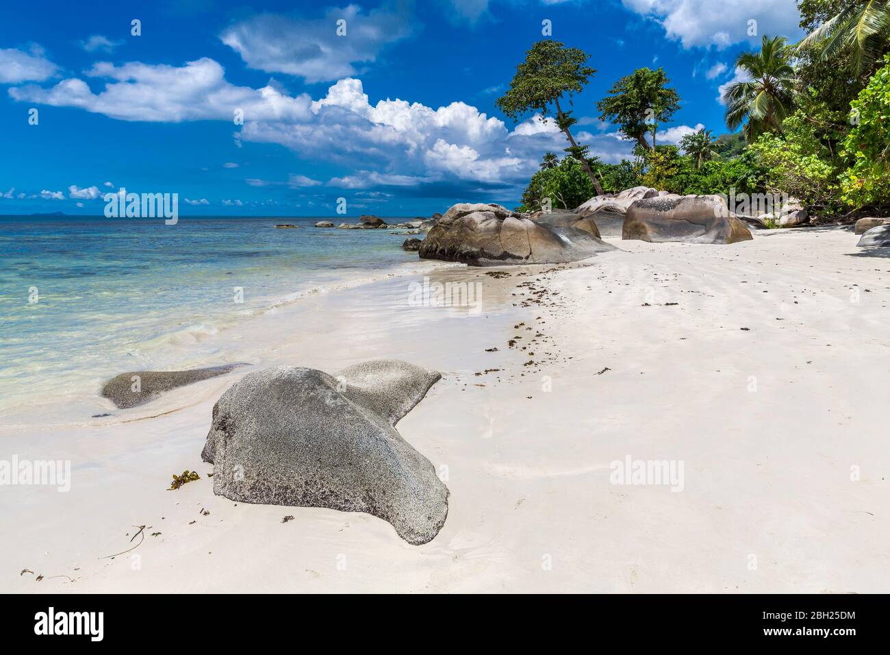 Seychellen, Mahe, Granite Felsen am Beau Vallon Strand im Sommer Stockfoto