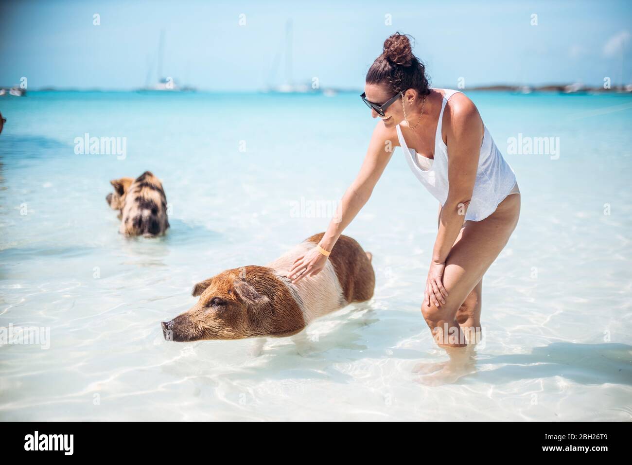 Frau streichelndes Schwein, Schwimmen im Meer auf Pig Beach, Exuma, Bahamas, Karibik Stockfoto