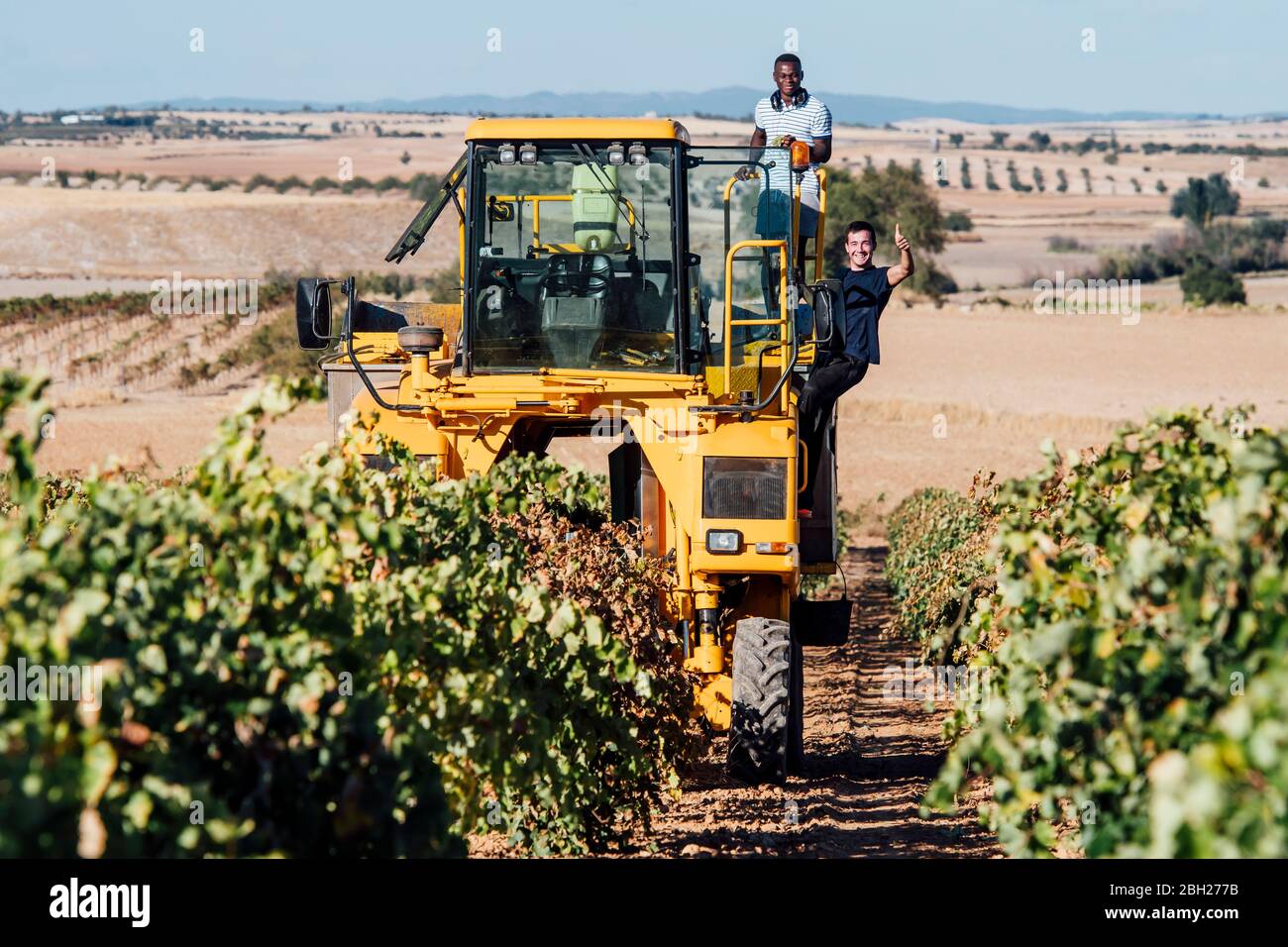 Weinlese Maschine und junge Winzer während der Weinlese, Cuenca, Spanien Stockfoto