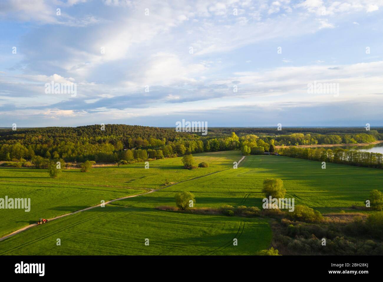 Deutschland, Brandenburg, Drohne Blick auf die grüne Landschaft Stockfoto