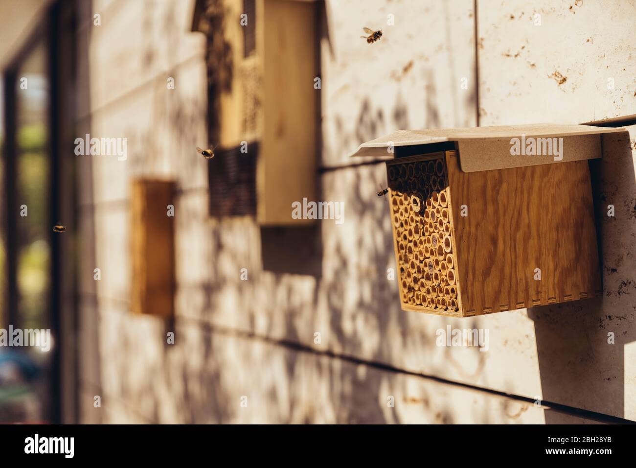 Bienenhotel wird von Bienen besucht Stockfoto