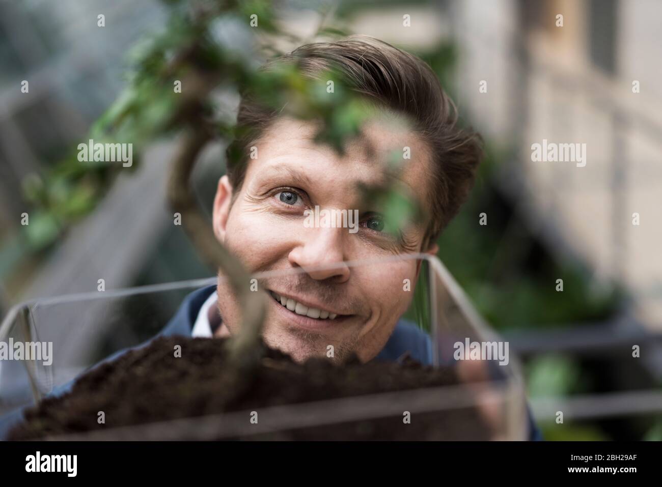 Businessman beobachten grüne Pflanze wachsen Stockfoto