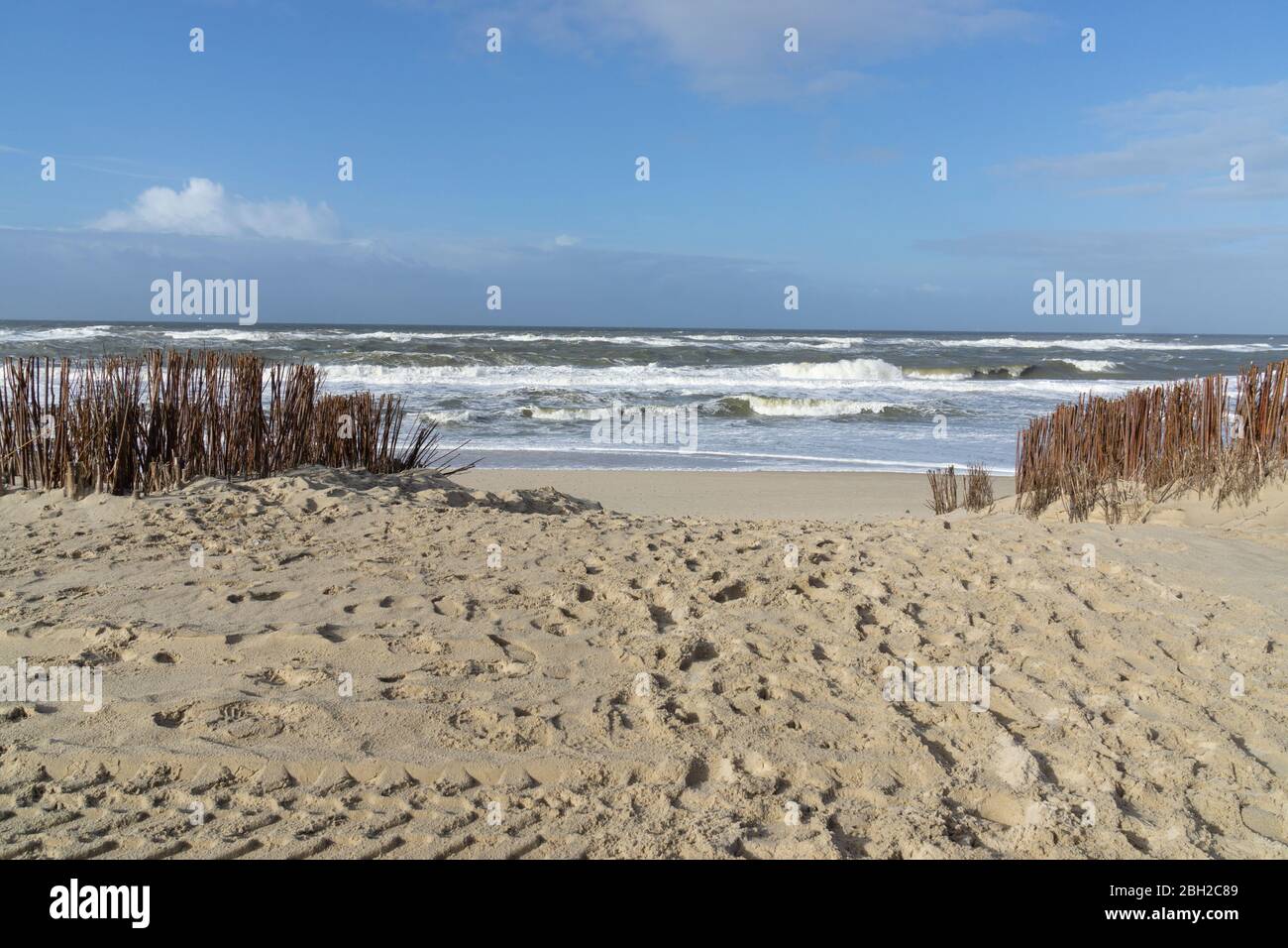 Küstenschutz am Strand, Sylt, Nordfriesische Insel, Nordfriesland, Schleswig-Holstein, Deutschland, Europa Stockfoto