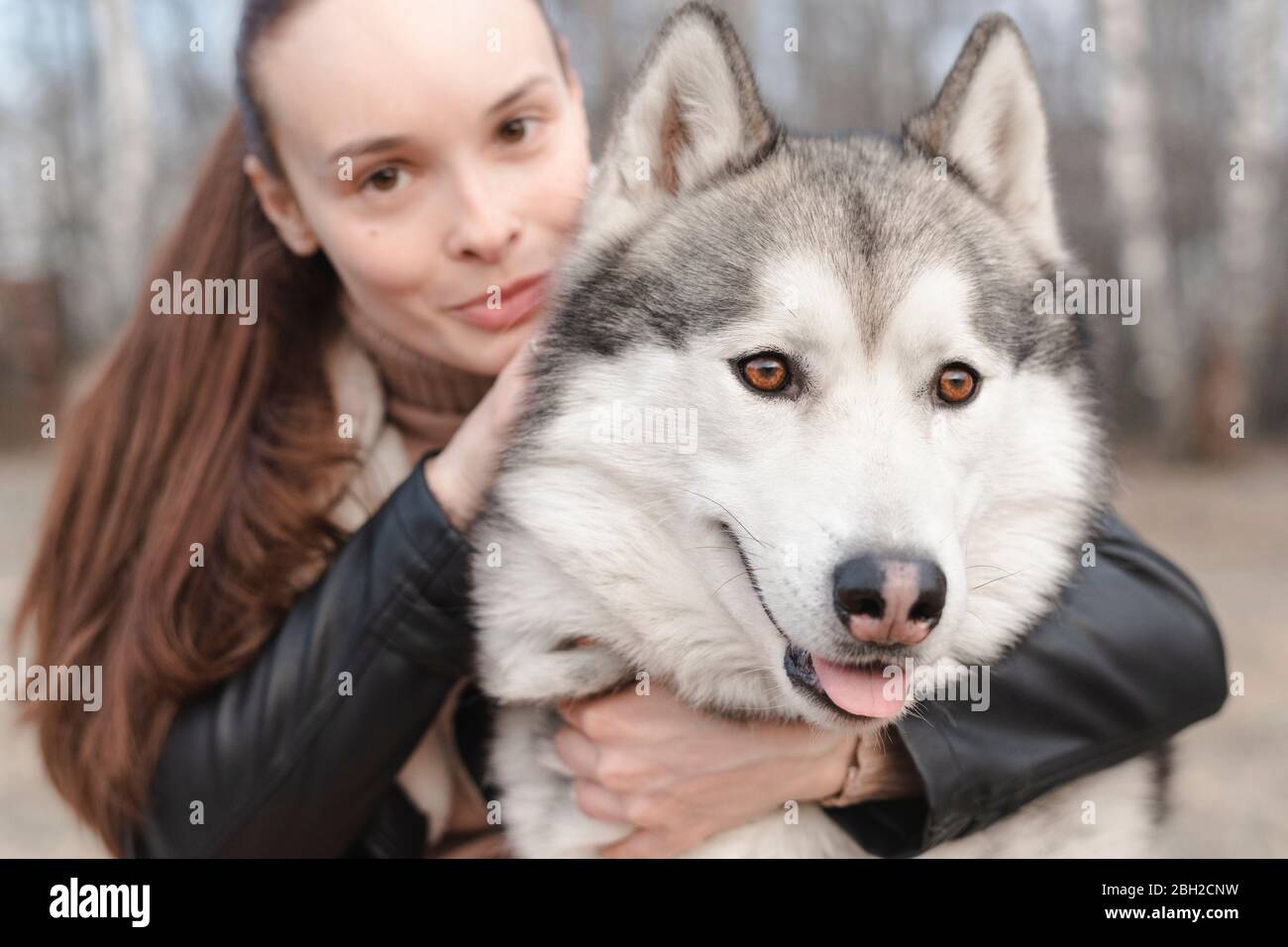 Portrait von Husky umarmt von Besitzer Stockfoto