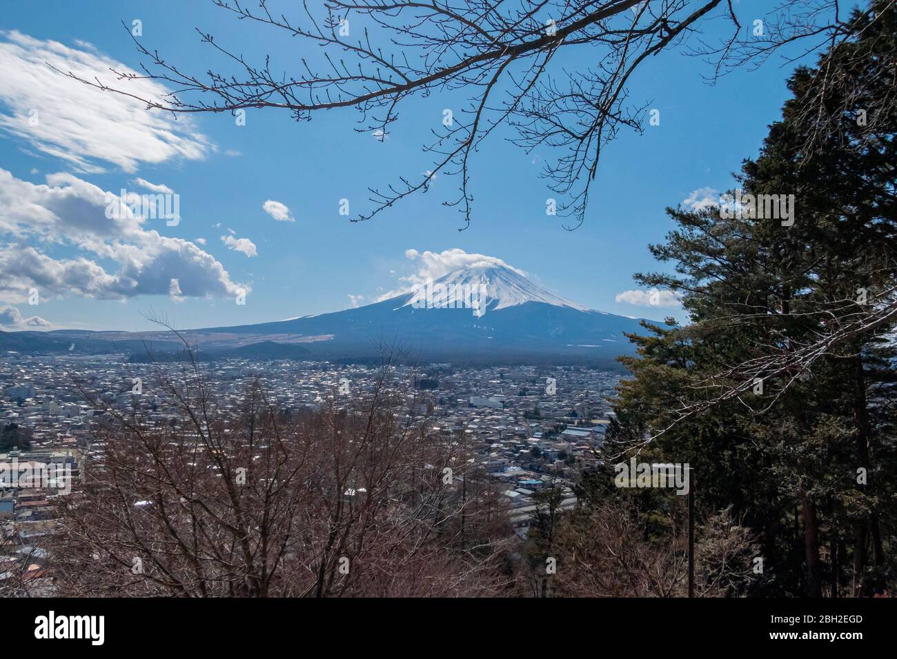 Die Wolke auf der Spitze von Fuji mit den Kiefern im Vordergrund Stockfoto
