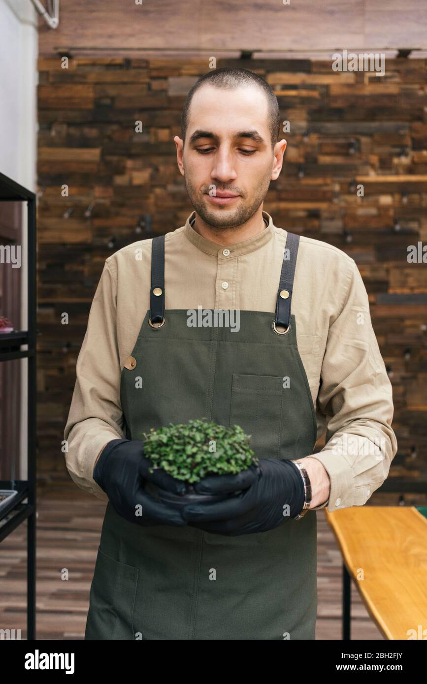 Portrait des Mannes, der eine mikrogrüne Pflanze hält Stockfoto