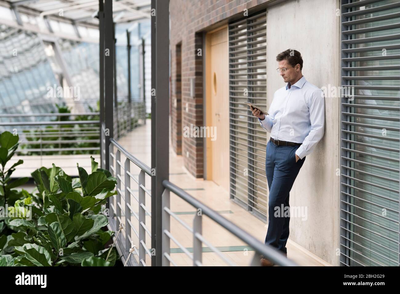 Geschäftsmann im grünen Atrium, an der Wand gelehnt, mit Smartphone lesen Stockfoto