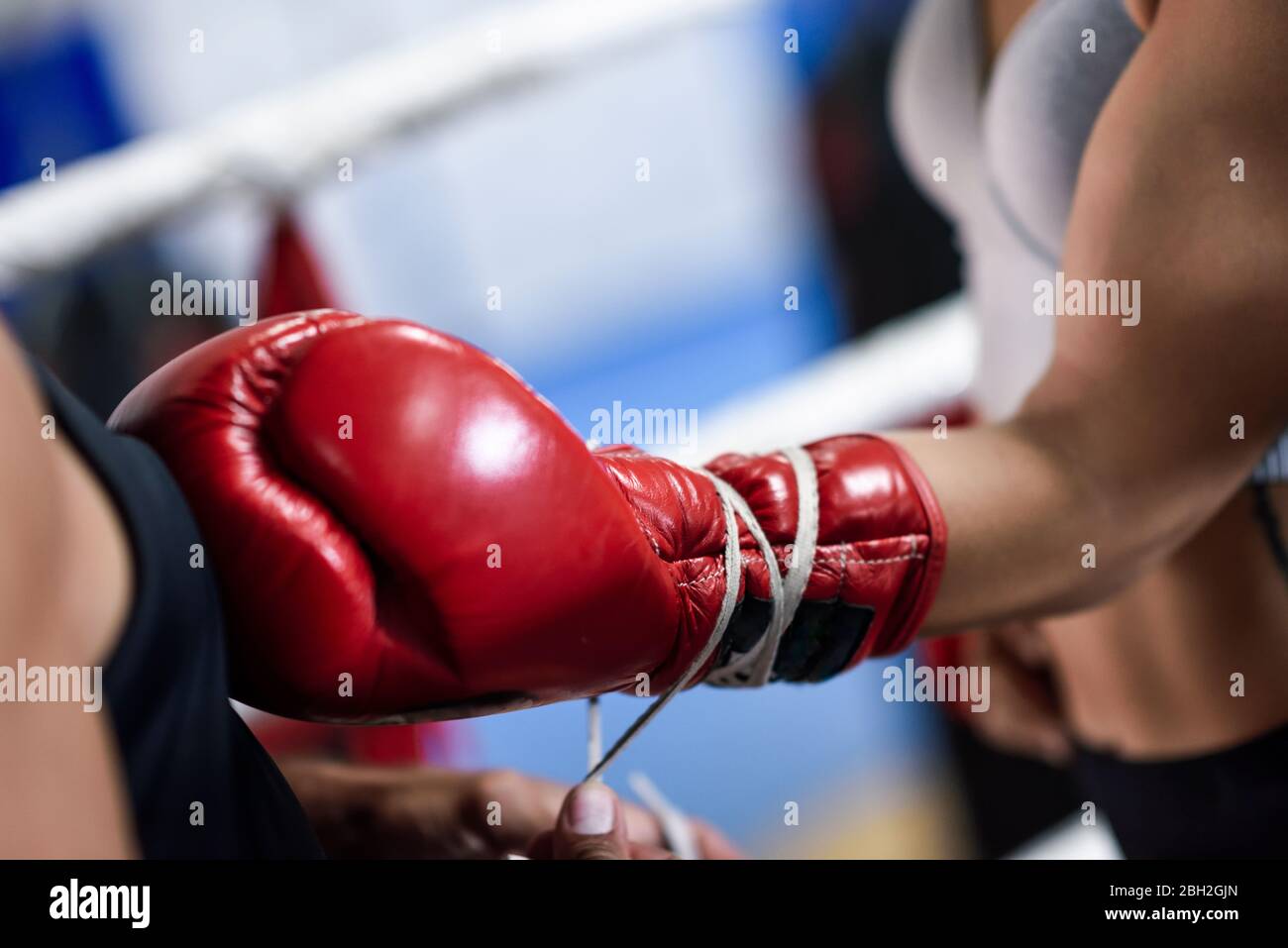 Nahaufnahme des Trainers, der die Boxhandschuhe auf einen Boxer legt Stockfoto