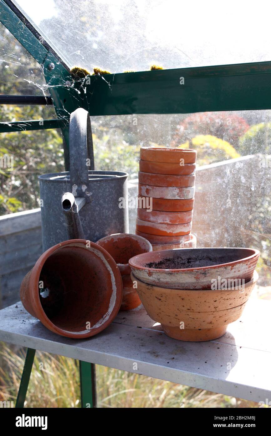 TERRAKOTTA-TÖPFE AUF EINEM GEWÄCHSHAUSREGAL Stockfoto