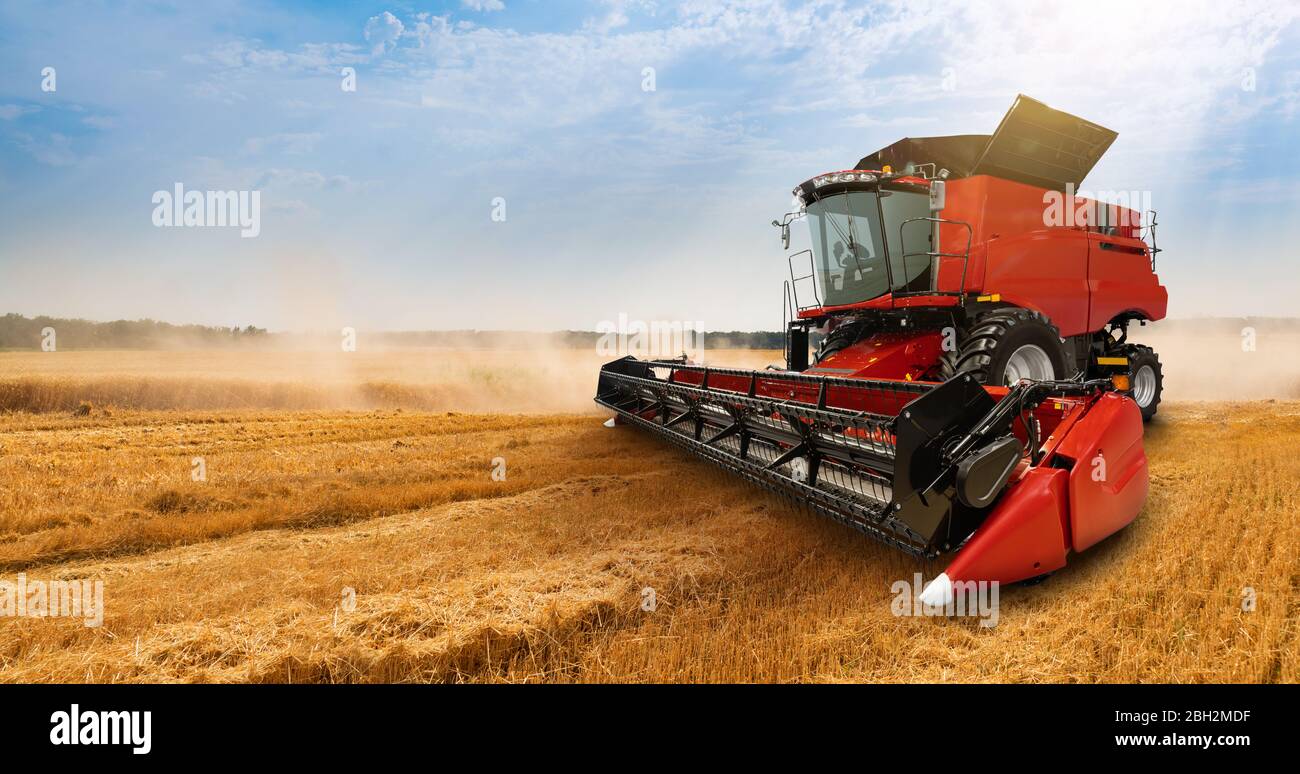 Mähdrescher auf dem Weizenfeld Stockfoto