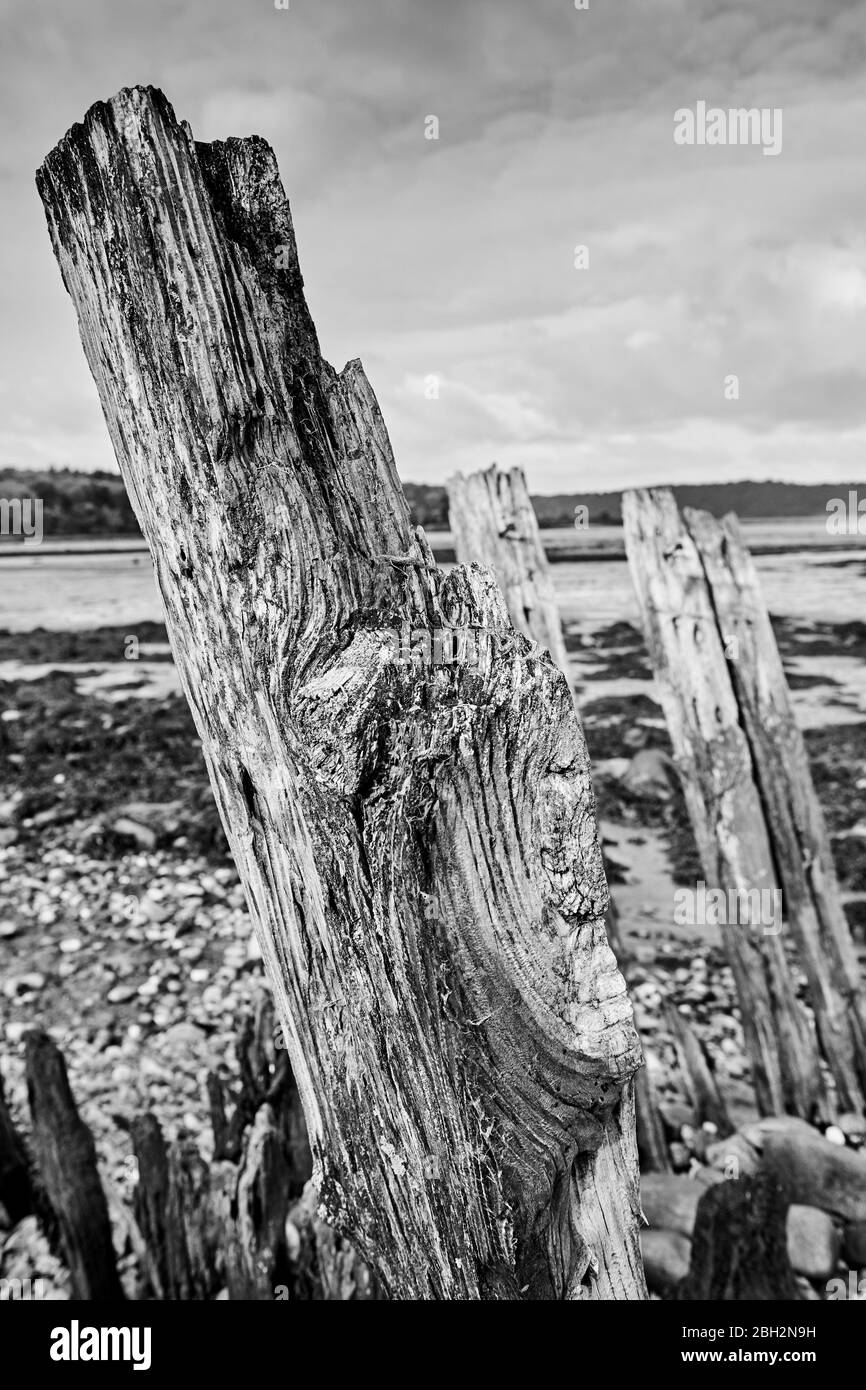 Verwitterte Groynes in Gwynedd North Wales an der Aber-Küste mit der Menai-Straße im Hintergrund Stockfoto