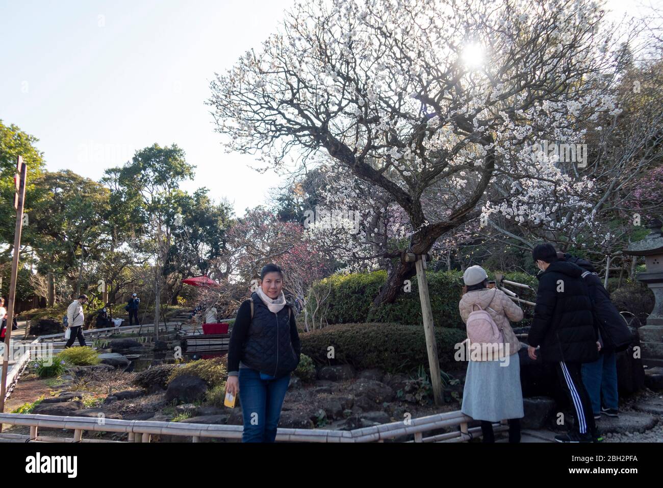 Eine Touristenfrau macht ein Foto im Garten des Hasedera-Tempels voller Besucher, um Blumen zu sehen. Kamakura, Kanagawa, Japan Februar 12,2020 Stockfoto