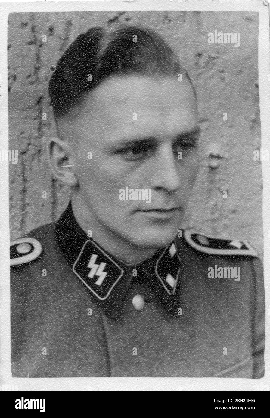 1943, Portrait deutscher SS-Soldaten in Ardoye - Ardooie, Belgien Stockfoto