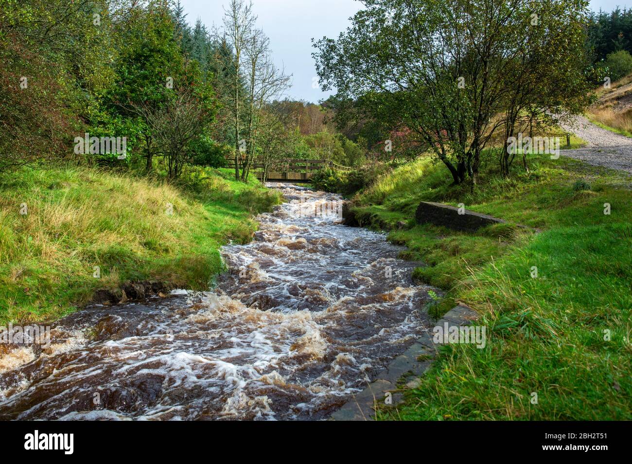 Der normale sanfte Fluss in Lead Mine Valley, Anglezarke, Rivington, Chorley, Lancashire, in voller Strömung während der jüngsten Überschwemmungen Stockfoto