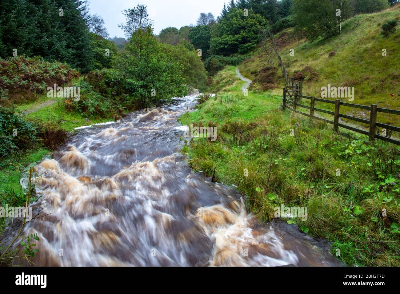 Der normale sanfte Fluss in Lead Mine Valley, Anglezarke, Rivington, Chorley, Lancashire, in voller Strömung während der jüngsten Überschwemmungen Stockfoto
