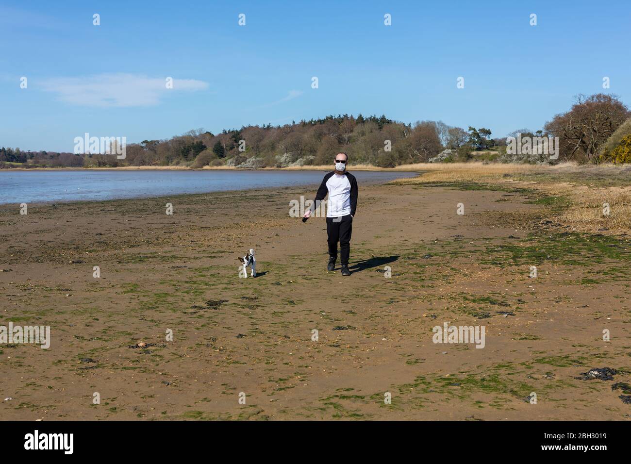 Mann mit einer schützenden Gesichtsmaske geht seinen Hund entlang eines Strandes auf seine Stunden tägliche Zulage für Bewegung, die die Regierung während der CO erlaubt hat Stockfoto