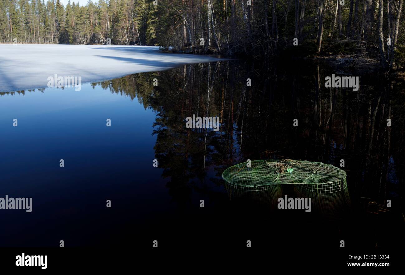 Grüne Fischfalle, "katiska" auf Finnisch, im Wasser im Frühling, Finnland Stockfoto