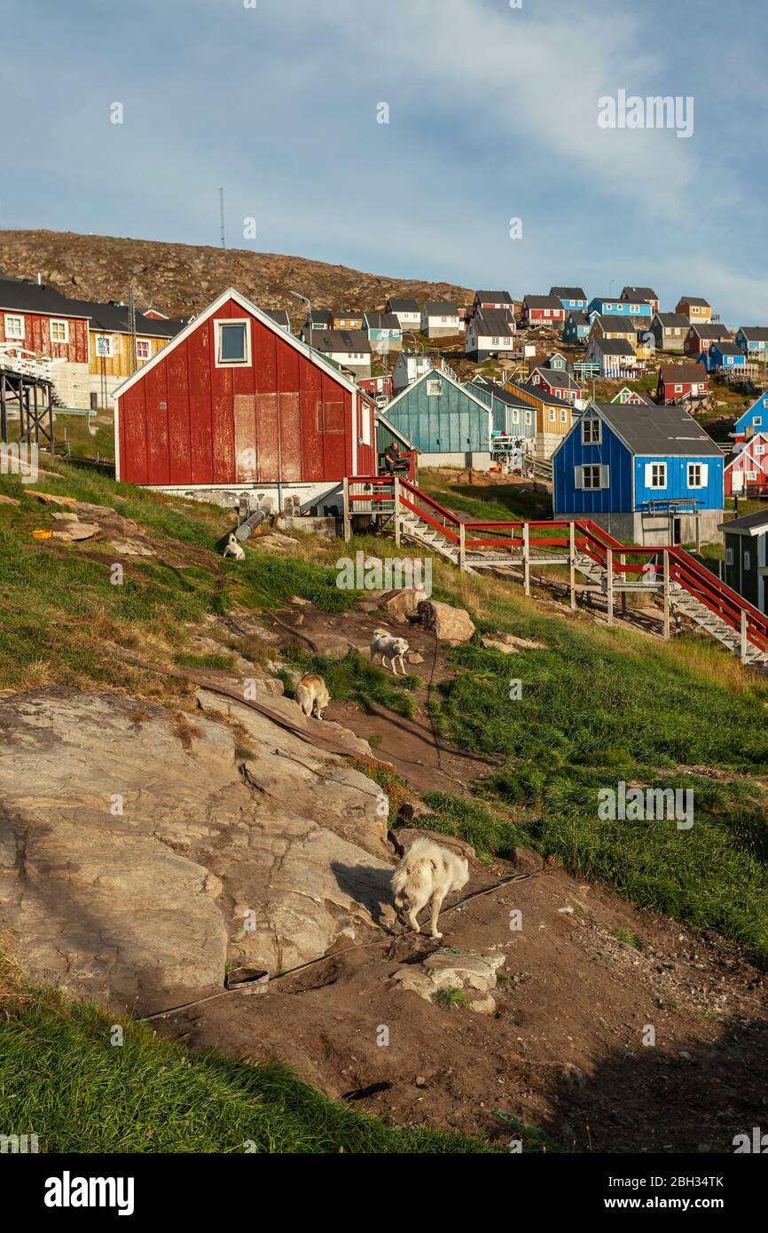 Traditionelle Holzhäuser in Grönland mit Treppe Stockfoto