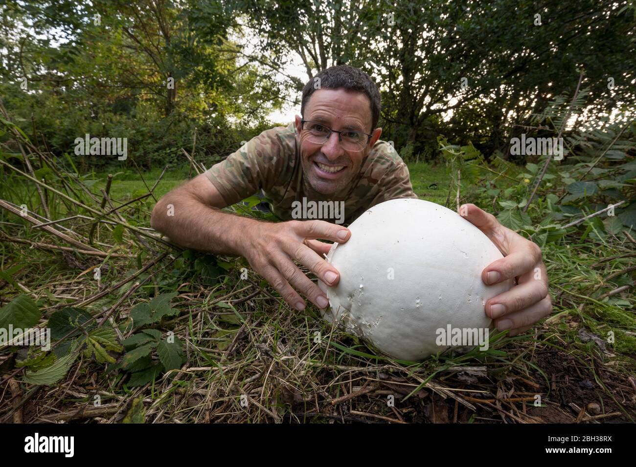 Riesenpuffball; Calvatia gigantea; man Holding Pilz; UK Stockfoto